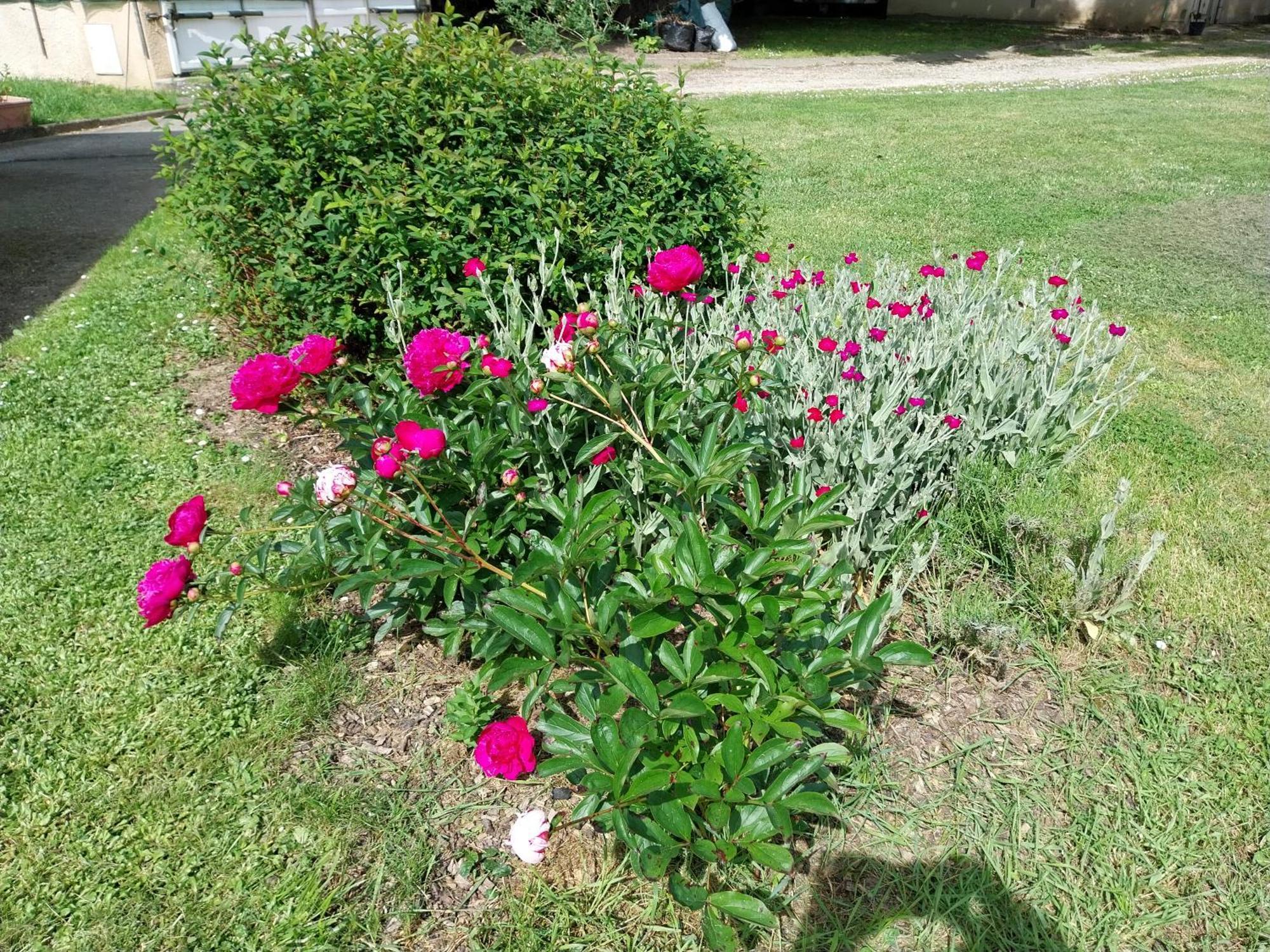 Les Bernus Bed and Breakfast Monfaucon  Buitenkant foto
