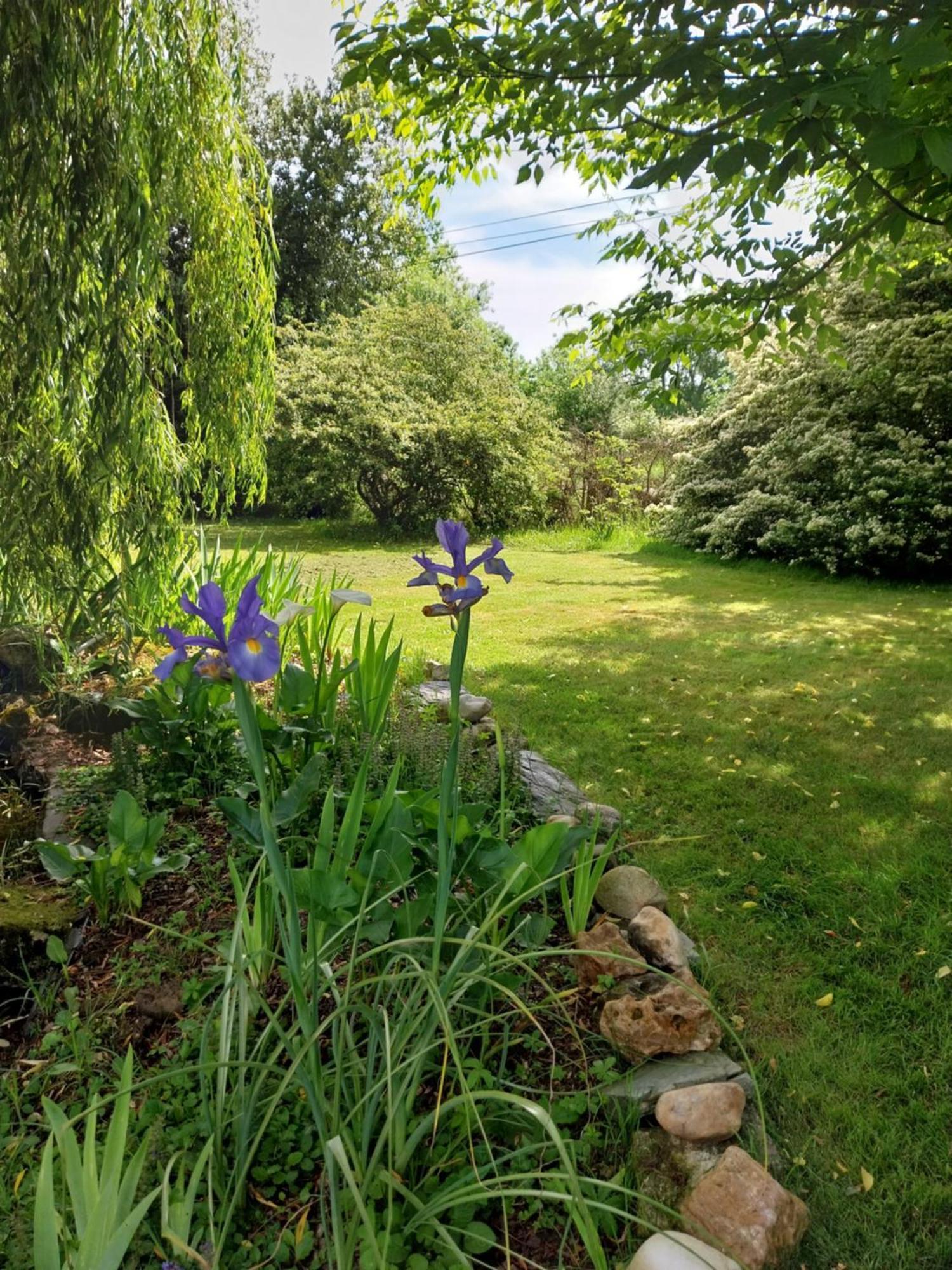 Les Bernus Bed and Breakfast Monfaucon  Buitenkant foto